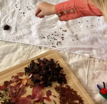 Load image into Gallery viewer, Botanical Dye Playdate